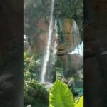 [ID: 0o9th3hS1qk] Youtube Automatic