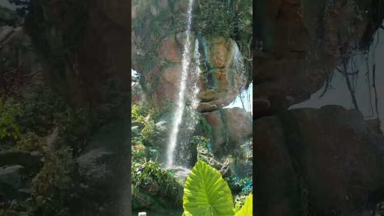 [ID: 0o9th3hS1qk] Youtube Automatic