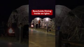 [ID: 0zS7xtOuzSY] Youtube Automatic