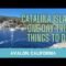 Southern California Catalina Island Day Trip | What to do in Avalon ONE DAY TRIP