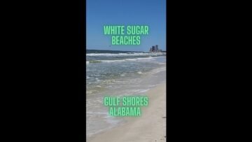 [ID: 7kaHwFRGv18] Youtube Automatic