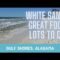 The Best Things to do and Places to eat in Gulf Shores Alabama