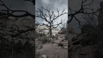 [ID: AmZuh1jIz1M] Youtube Automatic