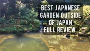 [ID: bvJEDGnZG_k] Youtube Automatic