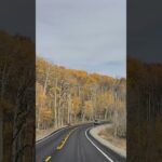 [ID: cOrNVqBPKnk] Youtube Automatic
