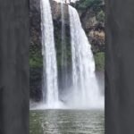 [ID: DHnS_faf0fQ] Youtube Automatic