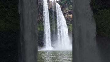 [ID: DHnS_faf0fQ] Youtube Automatic