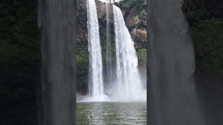 [ID: DHnS_faf0fQ] Youtube Automatic