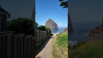 [ID: Ecf9EXhtcfQ] Youtube Automatic