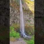 [ID: FndlJUDfliM] Youtube Automatic