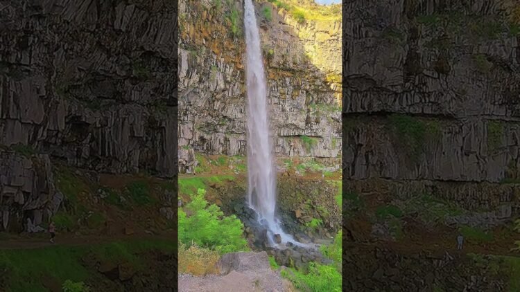 [ID: FndlJUDfliM] Youtube Automatic