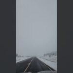 [ID: fV29erSLXSY] Youtube Automatic