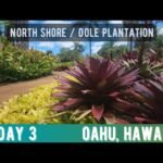 [ID: _–g8v5au1Q] Youtube Automatic