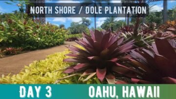 [ID: _–g8v5au1Q] Youtube Automatic