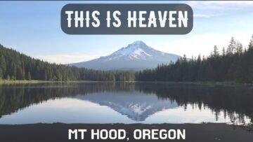 [ID: gviw8XBucQA] Youtube Automatic