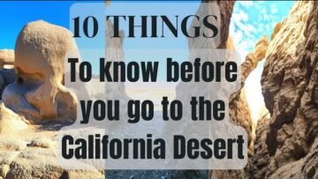 [ID: jVBFxfoaPOo] Youtube Automatic