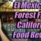 Forest Falls Hidden Gem AMAZING Mexican Food Mexicano Restraunt