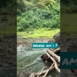 [ID: oKlStK3Qotk] Youtube Automatic