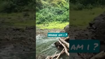 [ID: oKlStK3Qotk] Youtube Automatic