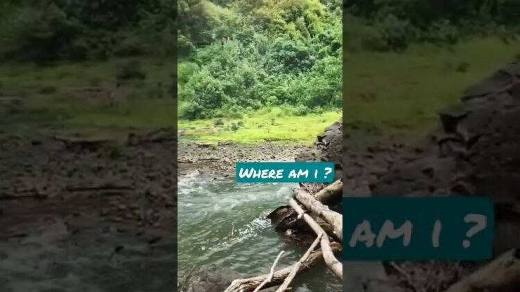 [ID: oKlStK3Qotk] Youtube Automatic