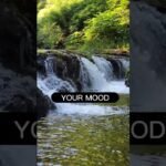 [ID: pLNuiEnPlQA] Youtube Automatic