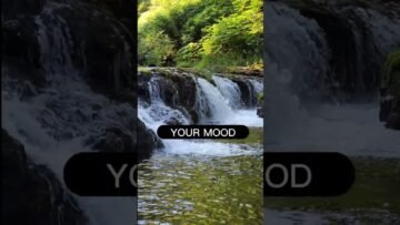 [ID: pLNuiEnPlQA] Youtube Automatic