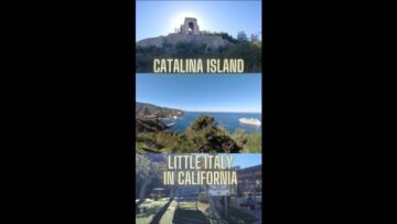 [ID: QCQq8UbeEok] Youtube Automatic