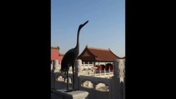 [ID: qiTsp1xaPsE] Youtube Automatic