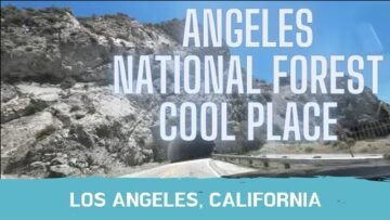 [ID: qX8-O_iZwfQ] Youtube Automatic