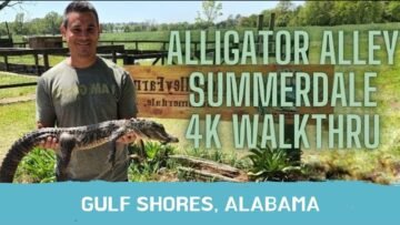 [ID: r5Xofbt-kdY] Youtube Automatic