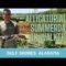 Best Things To Do Gulf Shores Alabama Alligator Alley 4K Walking Tour Summerdale Al