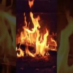 [ID: SX29cYrx1Qs] Youtube Automatic
