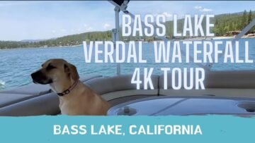 [ID: u6rqTwWfo2U] Youtube Automatic