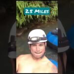[ID: ZuTr_FIRjzI] Youtube Automatic