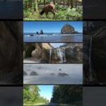 Private: [ID: 13GfAG1Kx0U] Youtube Automatic