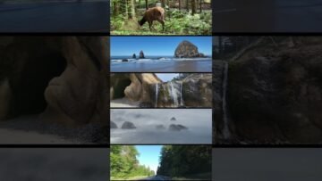 Private: [ID: 13GfAG1Kx0U] Youtube Automatic