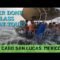 Cabo Glass Boat Tour and Marina Day 2 Cabo San Lucas