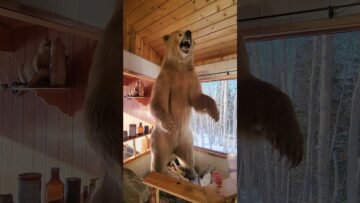 Private: [ID: DHSKGDjBWX8] Youtube Automatic