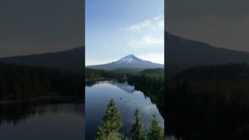 Private: [ID: _GTM1UueBPU] Youtube Automatic