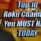Top 10 Roku Apps Channels YOU MUST HAVE TODAY