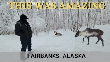 Private: [ID: JcCZd0oGPVY] Youtube Automatic