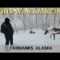 Winter Fairbanks Alaska | Running Reindeer Ranch & Ice Fishing Day 3 Vlog