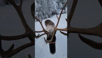 Private: [ID: jkTKYJiHuys] Youtube Automatic