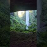 Private: [ID: jX6BLWt82tY] Youtube Automatic