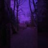 Private: [ID: oLZFTUt6rgM] Youtube Automatic