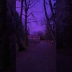 Private: [ID: oLZFTUt6rgM] Youtube Automatic