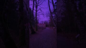 Private: [ID: oLZFTUt6rgM] Youtube Automatic