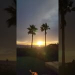 Private: [ID: P1KW-cX0F5A] Youtube Automatic