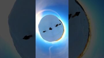 Private: [ID: wdU7cJd3N5Q] Youtube Automatic