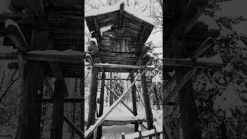 [ID: 6RiBCDCgzp0] Youtube Automatic